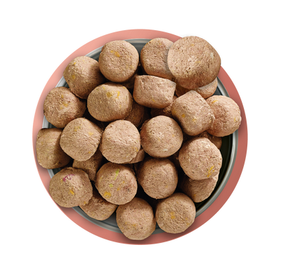 Natures Menu Raw Freeze Dried Complete and Balanced Adult Beef Dry Dog Food