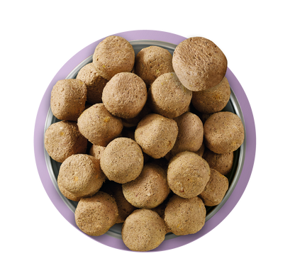 Natures Menu Raw Freeze Dried Complete and Balanced Adult Turkey Dry Dog Food