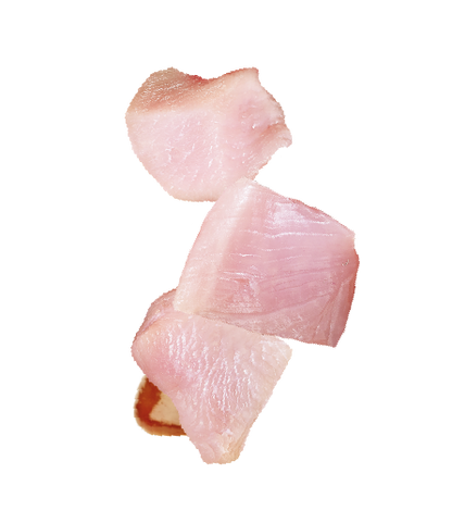 Natures Menu Raw Freeze Dried Turkey Bites Dog Treats