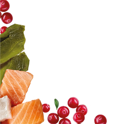 Natures Menu Country Hunter Superfood Bars - Salmon & White Fish Adult Dog Treats