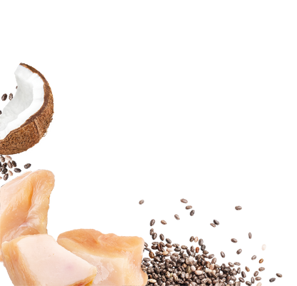 Natures Menu Country Hunter Superfood Bars - Chicken Adult Dog Treats