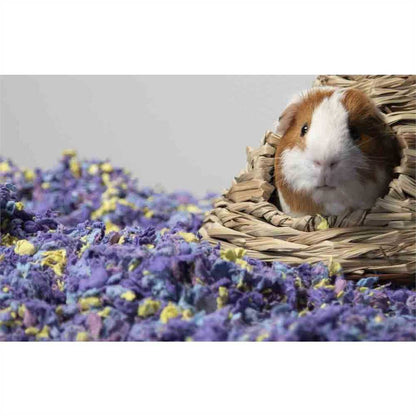 Carefresh Confetti Small Animal Bedding – Pet Supermarket