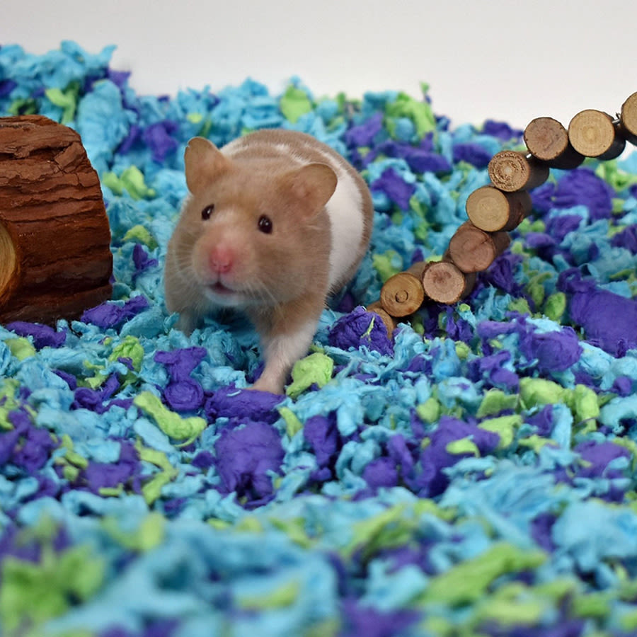 Carefresh Sea Glass Small Animal Bedding