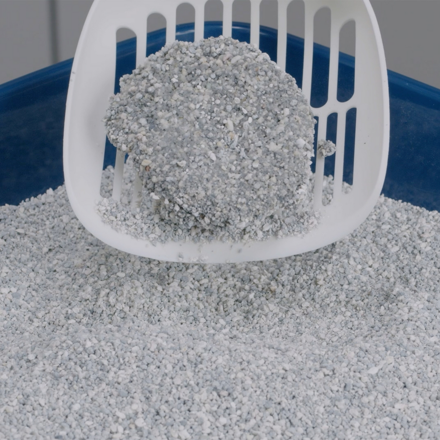 Ever Clean Litter Free Paws Cat Litter