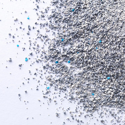 Ever Clean Multiple Cat Litter