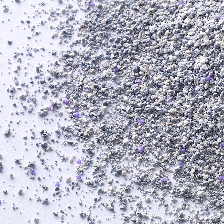 Ever Clean Lavender Cat Litter