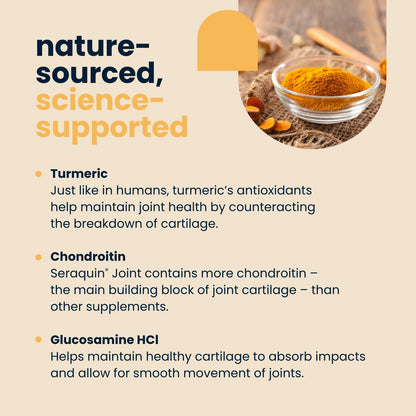 Seraquin Joint 800mg Tablets for Cats & Dogs under 10kg