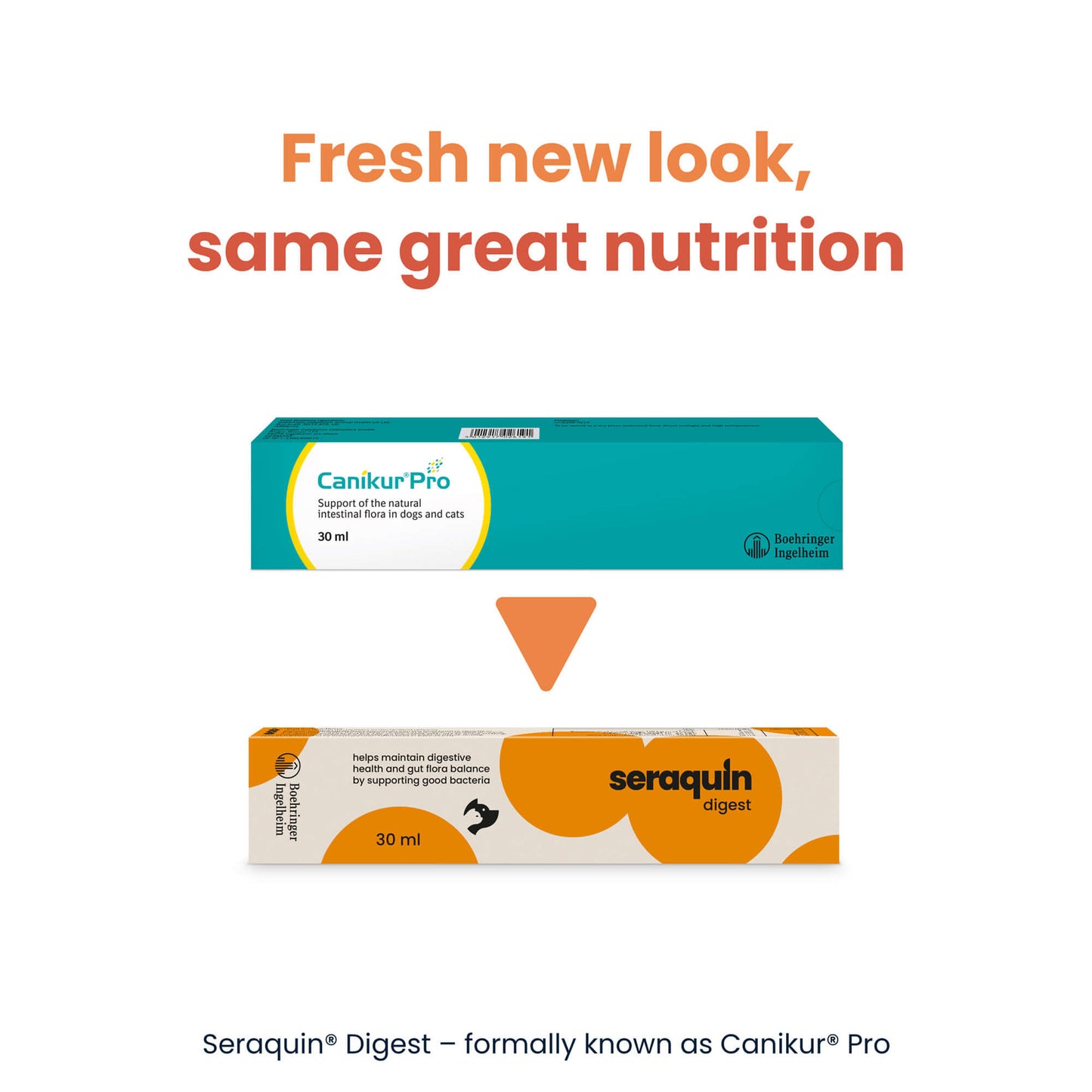 Seraquin Digest for Cats & Dogs - Syringe