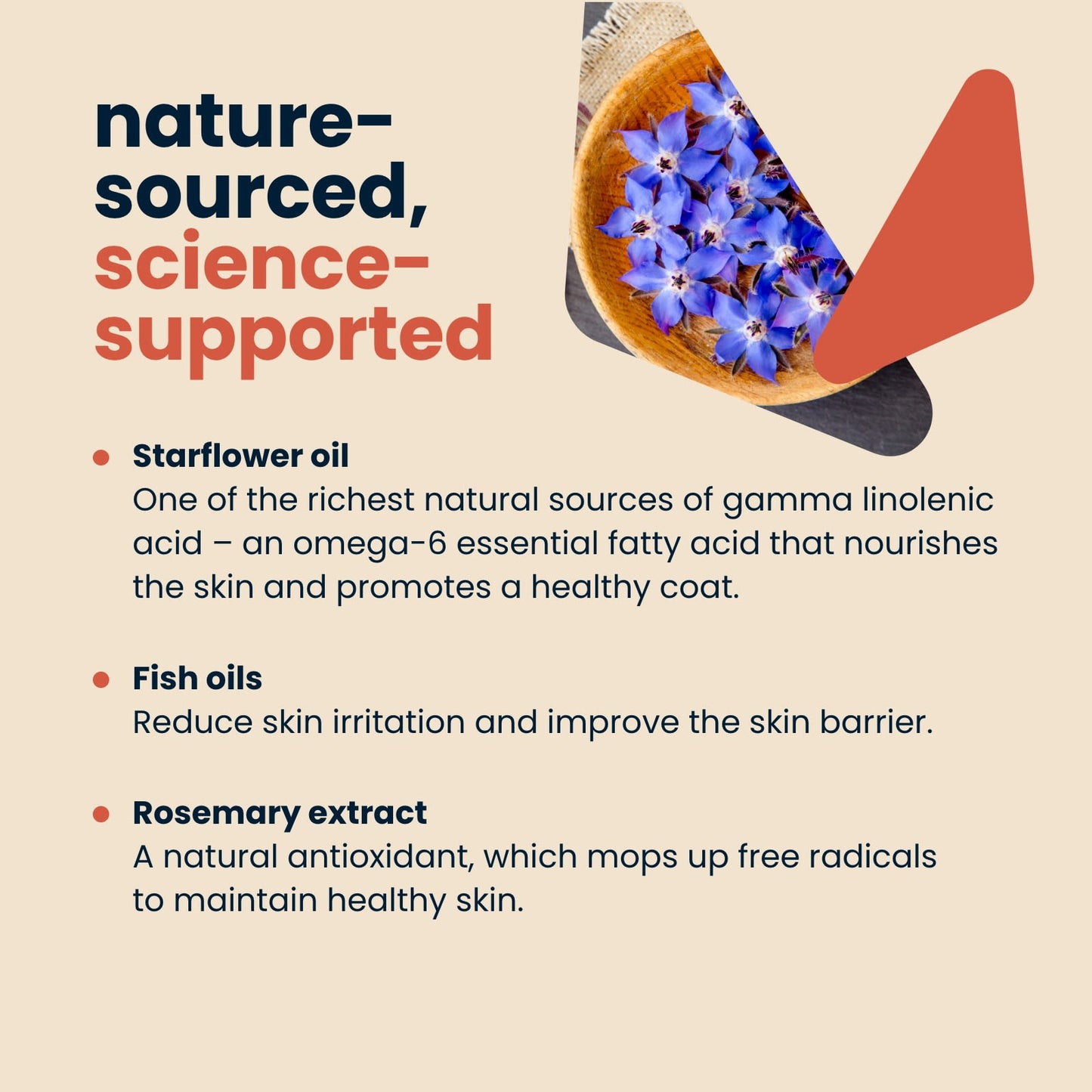 Seraquin Skin & Coat for Cats & Dogs - Pump Bottle