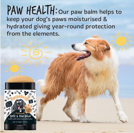 Bugalugs Paw & Nose Balm Stick for Dogs with Coconut & Oatmeal