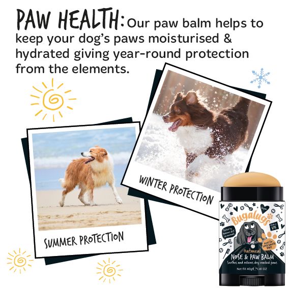 Bugalugs Paw & Nose Balm Stick for Dogs with Coconut & Oatmeal