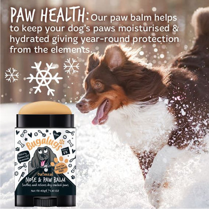 Bugalugs Paw & Nose Balm Stick for Dogs with Coconut & Oatmeal
