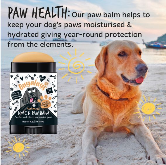 Bugalugs Paw & Nose Balm Stick for Dogs with Coconut & Oatmeal