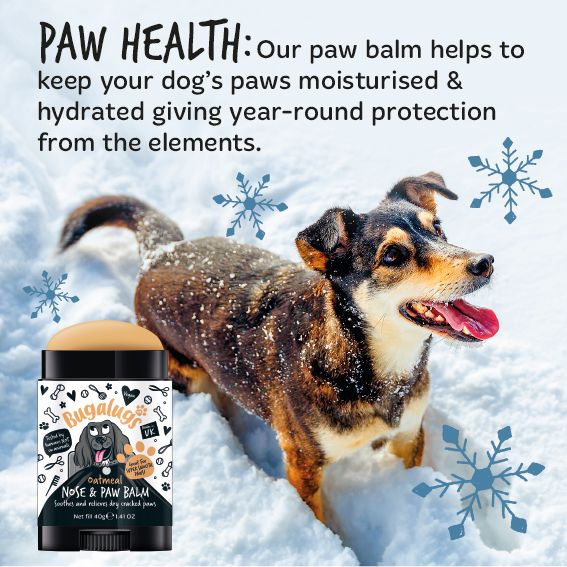 Bugalugs Paw & Nose Balm Stick for Dogs with Coconut & Oatmeal