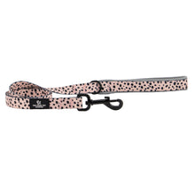 Ancol Soho Dalmatian Patterned Dog Lead