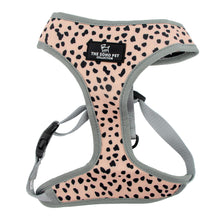 Ancol Soho Dalmatian/Zigzag Reversible Dog Harness
