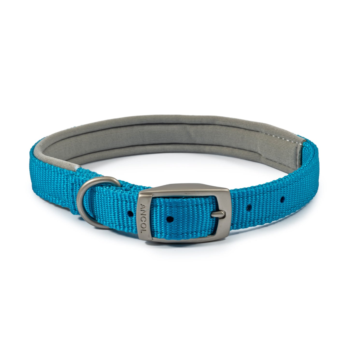 Ancol Viva Nylon Padded Buckle Dog Collar - Blue