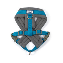 Ancol Viva Nylon Padded Dog Harness - Blue