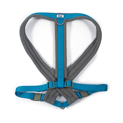 Ancol Viva Nylon Padded Dog Harness - Blue