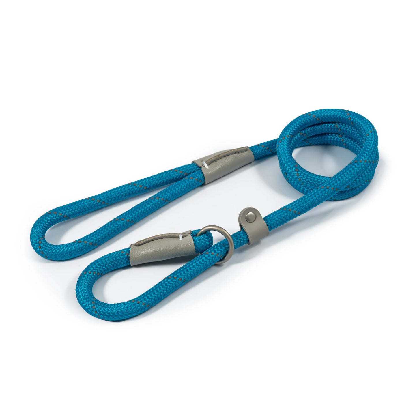 Ancol Viva Nylon Rope Slip Dog Lead - Blue