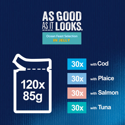 Felix As Good As it Looks Ocean Feasts Wet Cat Food