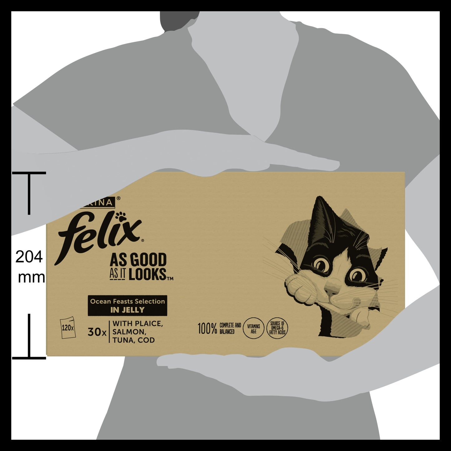 Felix As Good As it Looks Ocean Feasts Wet Cat Food