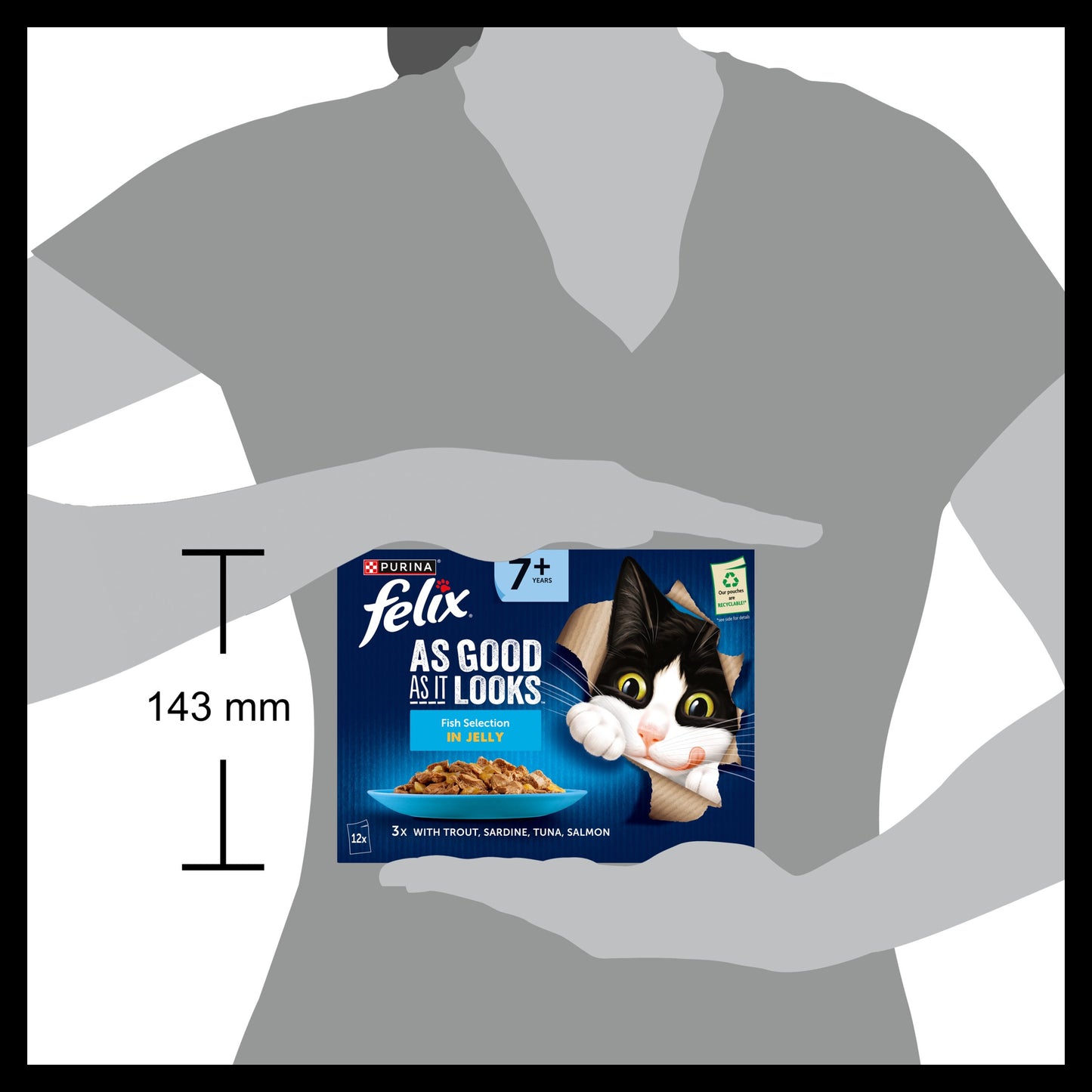 Felix As Good As it Looks Senior 7+ Fish in Jelly Wet Cat Food