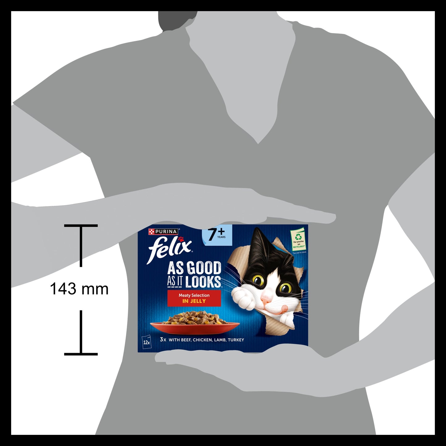 Felix As Good As it Looks Senior 7+ Meat in Jelly Wet Cat Food