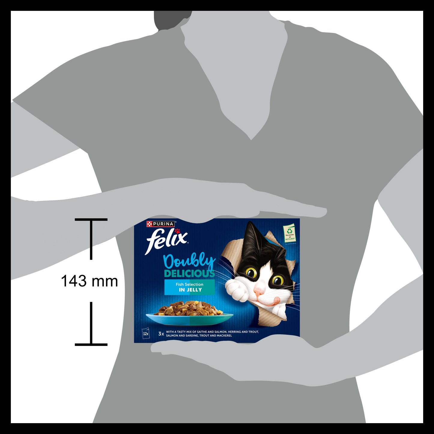Felix Doubly Delicious Fish Selection in Jelly Wet Cat Food