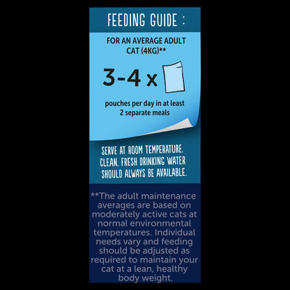 Felix Doubly Delicious Fish Selection in Jelly Wet Cat Food