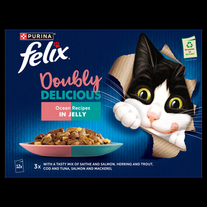 Felix Doubly Delicious Ocean Recipes in Jelly Wet Cat Food