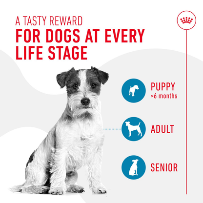 Royal Canin Training Treats for Dogs