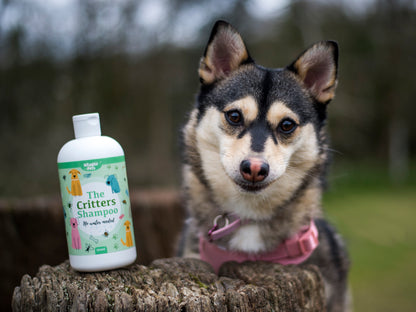 Nilaqua Pets The Critters Towel Off Dog Shampoo - 240ml