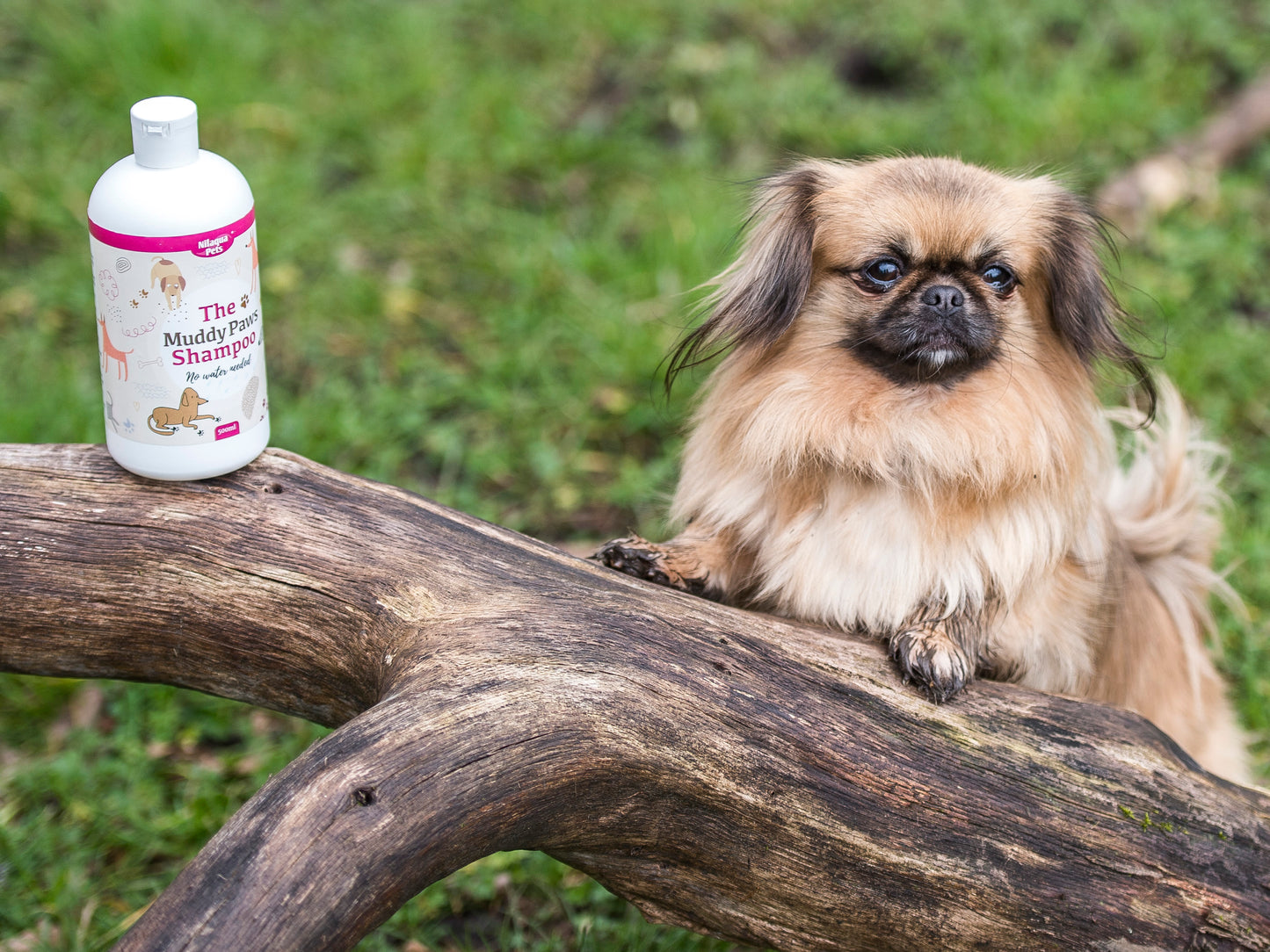 Nilaqua Pets The Muddy Paws Towel Off Dog Shampoo