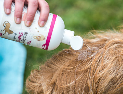 Nilaqua Pets The Muddy Paws Towel Off Dog Shampoo