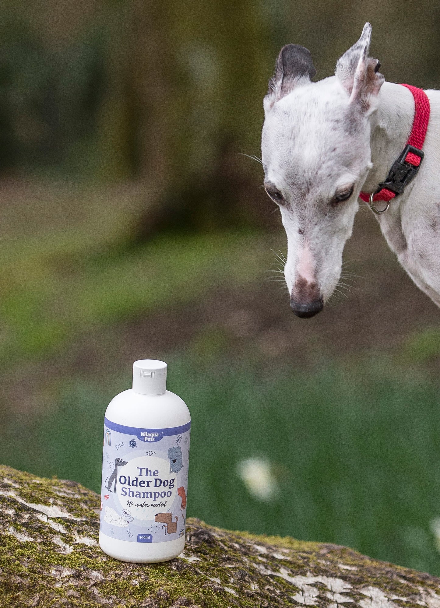 Nilaqua Pets The Older Dog Towel Off Dog Shampoo