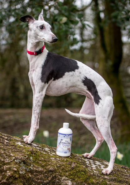 Nilaqua Pets The Older Dog Towel Off Dog Shampoo