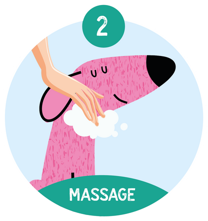 Nilaqua Pets The Older Dog Towel Off Dog Shampoo