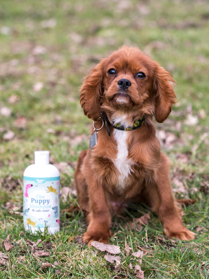 Nilaqua Pets The Puppy Towel Off Dog Shampoo