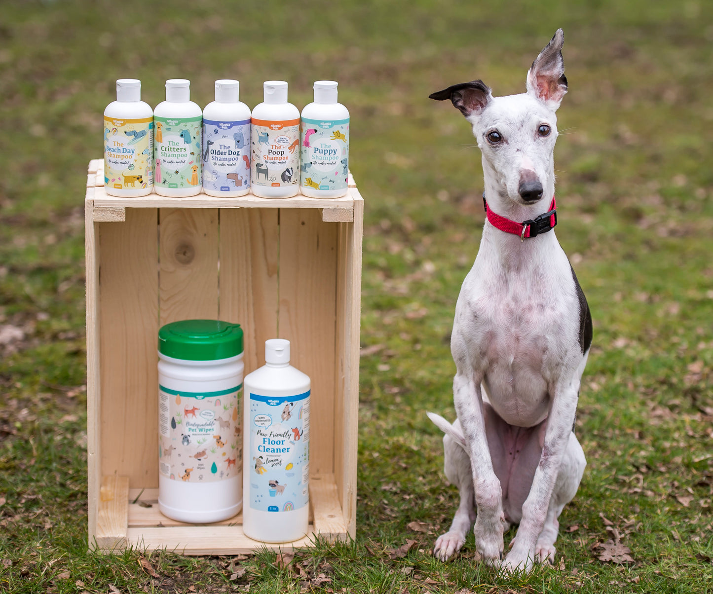 Nilaqua Pets The Puppy Towel Off Dog Shampoo