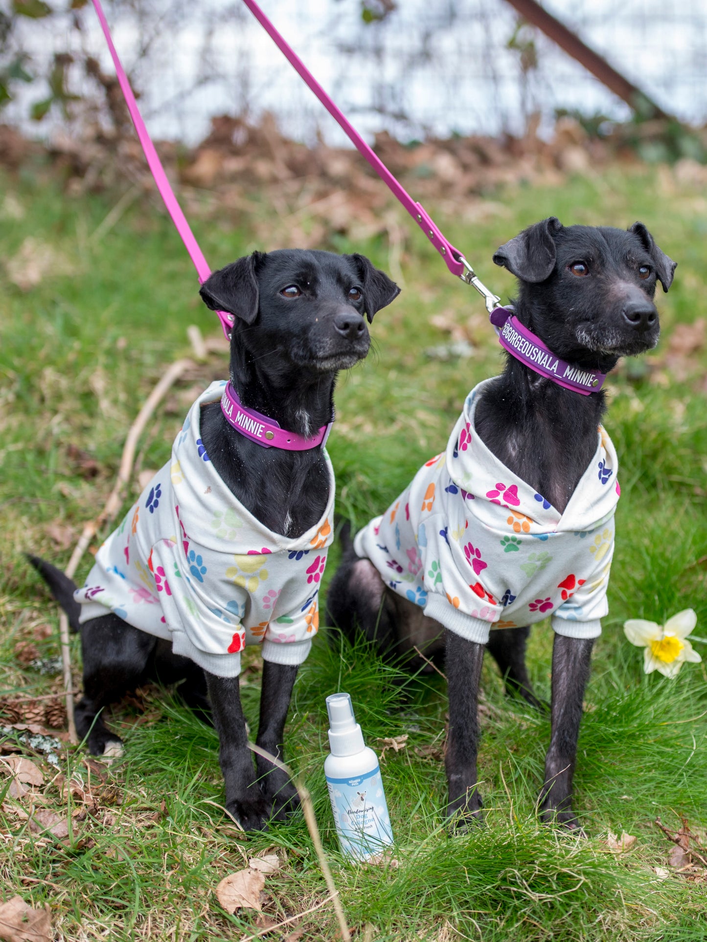 Nilaqua Pets Baby Fresh Dog Cologne