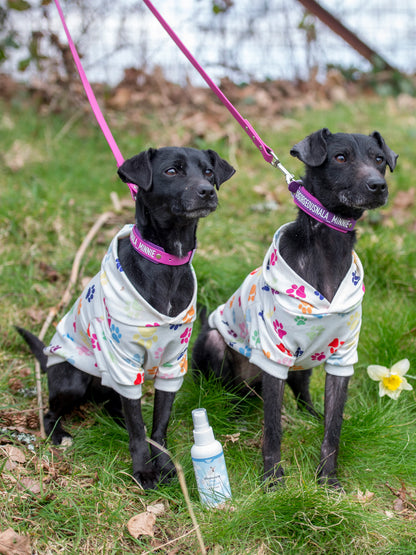 Nilaqua Pets Baby Fresh Dog Cologne