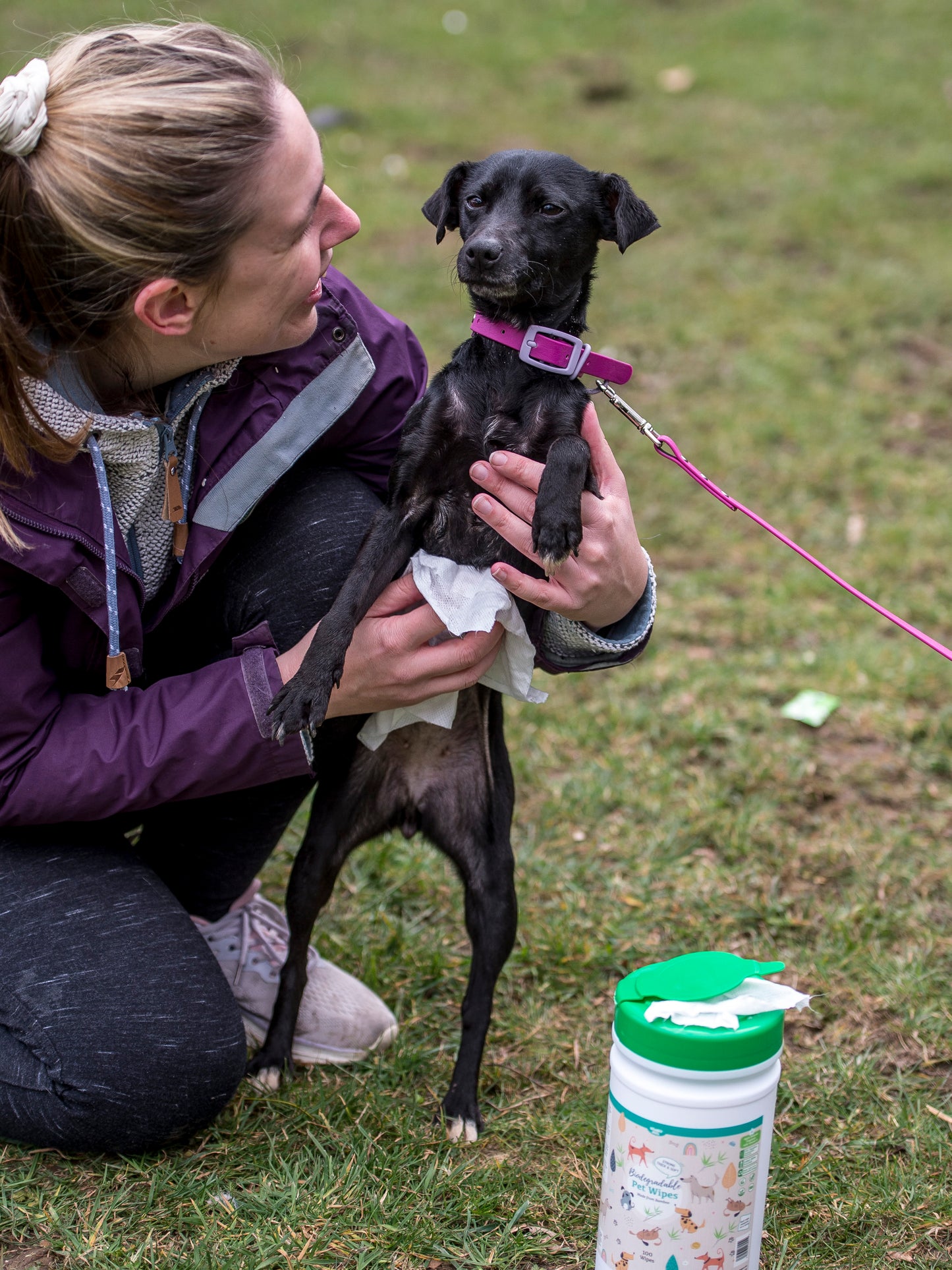Nilaqua Pets Biodegradable Bamboo Pet Wipes Apple