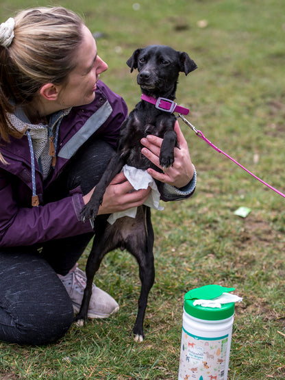 Nilaqua Pets Biodegradable Bamboo Pet Wipes Apple