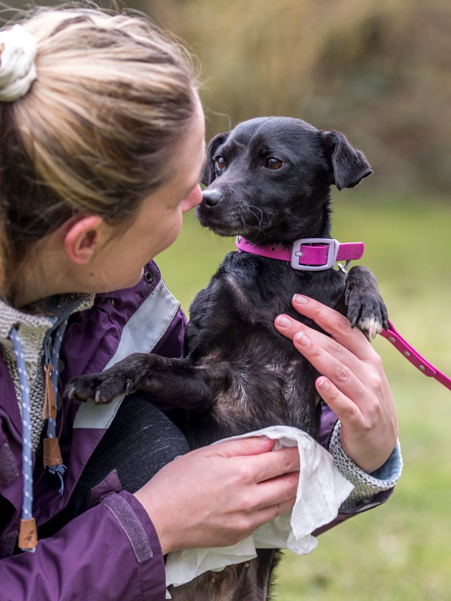 Nilaqua Pets Biodegradable Bamboo Pet Wipes Apple