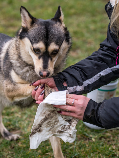Nilaqua Pets Biodegradable Bamboo Pet Wipes Apple