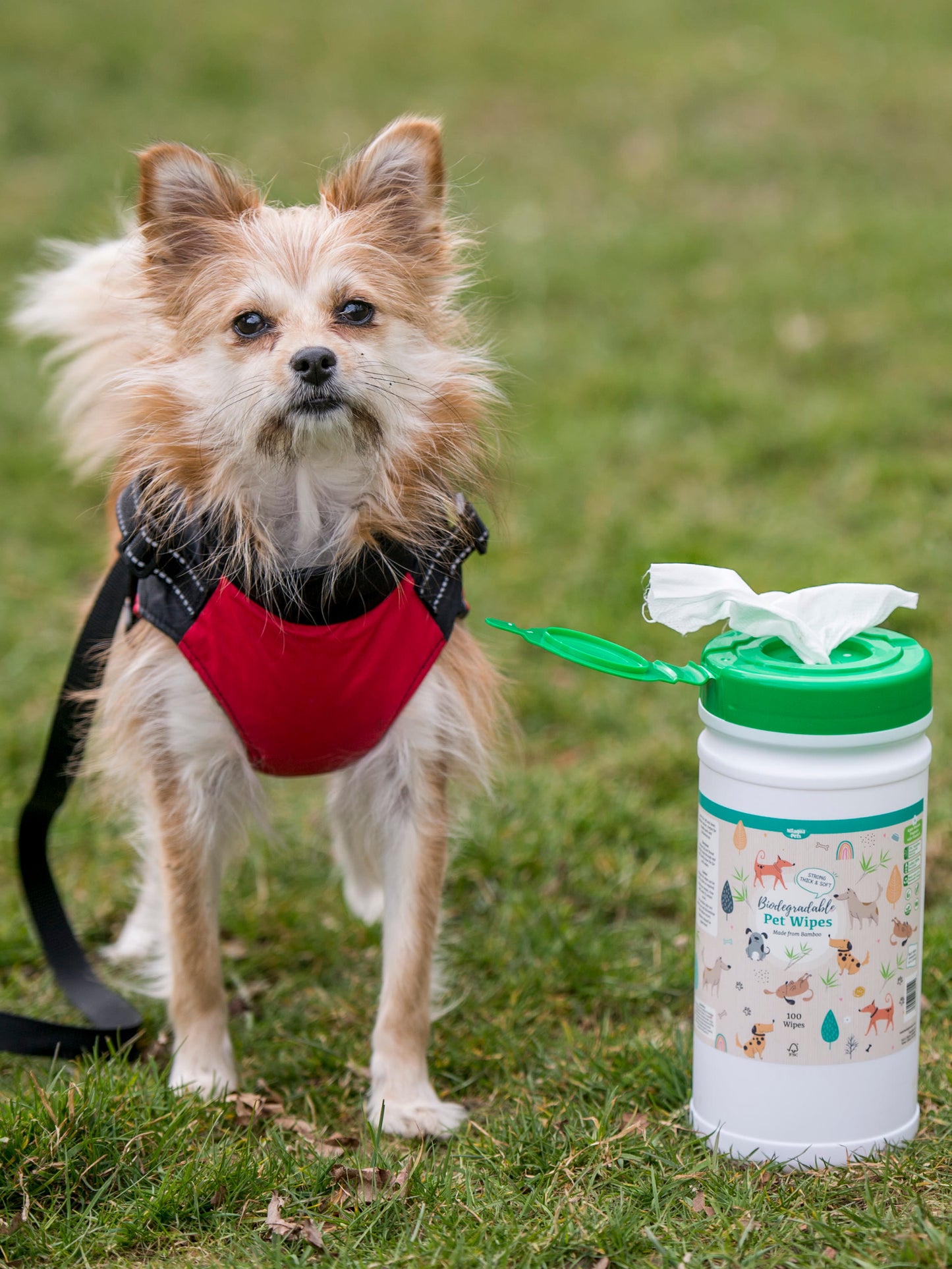 Nilaqua Pets Biodegradable Bamboo Pet Wipes Apple