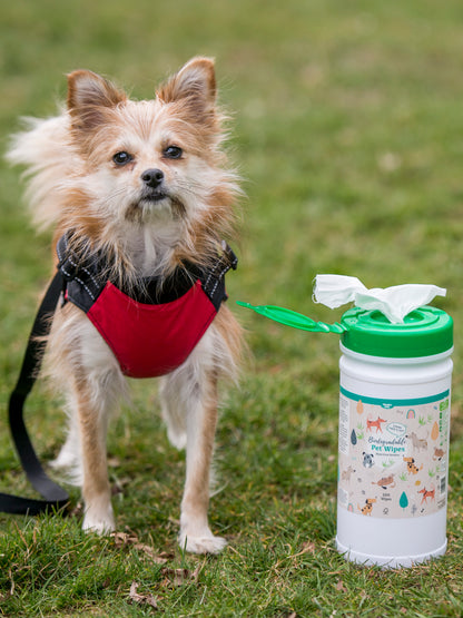 Nilaqua Pets Biodegradable Bamboo Pet Wipes Apple