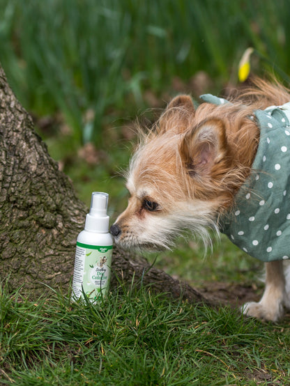 Nilaqua Pets Green Tea and Cucumber Dog Cologne
