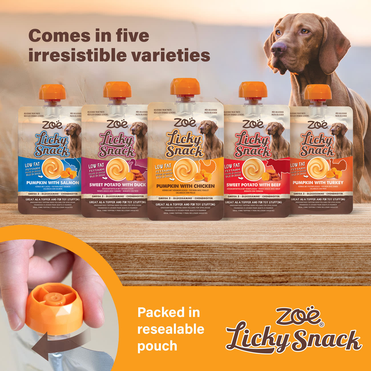 Zoe Licky Snack Pumpkin & Turkey Recipe Dog Treat